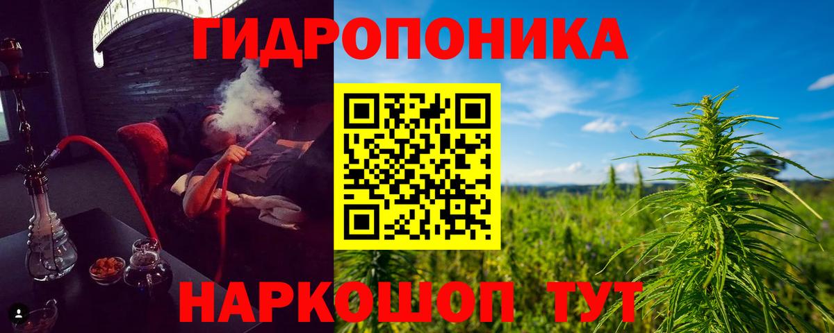 Бошки Шишки план Ухта